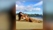 Nicole Scherzinger Instagrams Bikini Pics in Hawaii