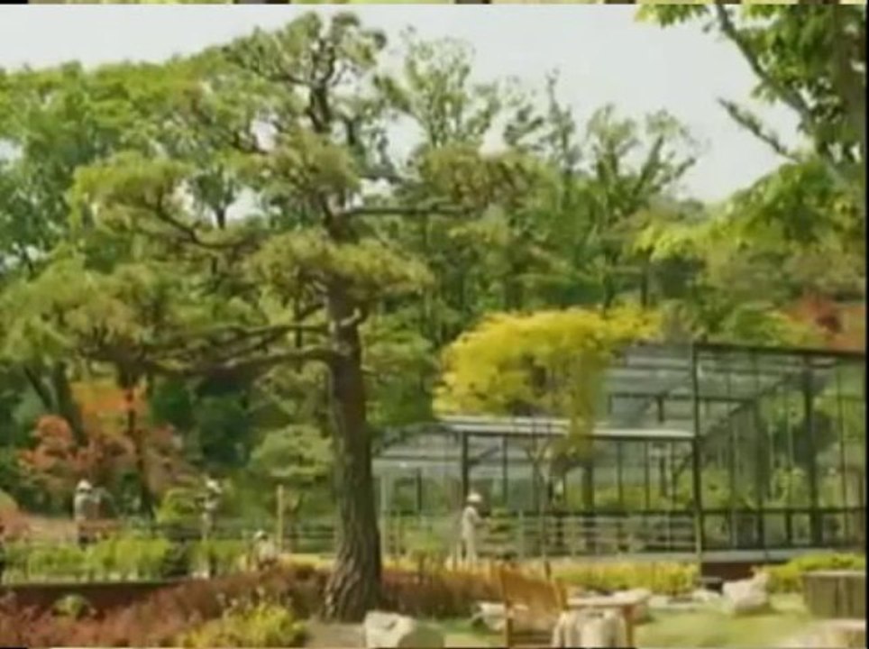 Aug20loverain