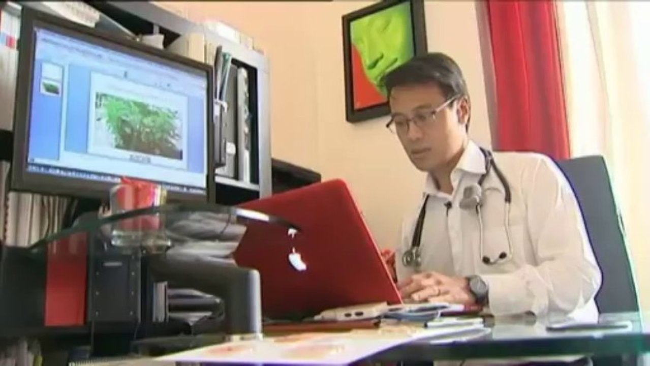 Alerte à l'ambroisie pour les 10% de Français allergiques