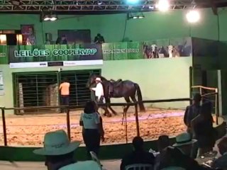 ENCONTROS E MOMENTOS 16-08-2013