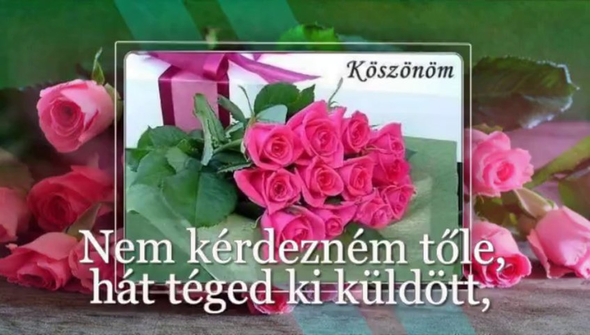 Koncz Zsuzsa - Ha én rózsa volnék - video Dailymotion
