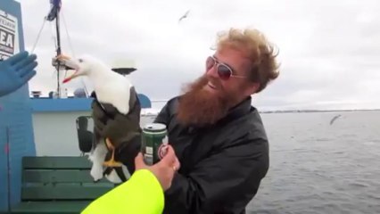 Un gars attrape une mouette en plein vol !
