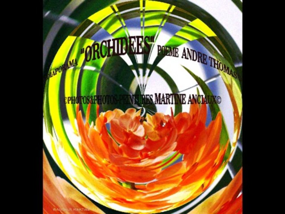 ©ORCHIDEES POEME THOMAS ANDRE PHOTOS&PHOTOS-PEINTURES MARTINE ANCIAUX©TELEVISION