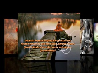 ŞİMALGÜNEY (SEN GİDERKEN )