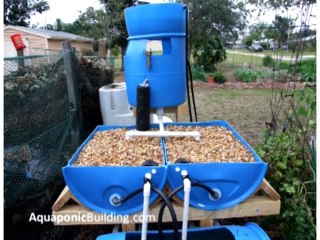 10 Backyard Aquaponic Systems
