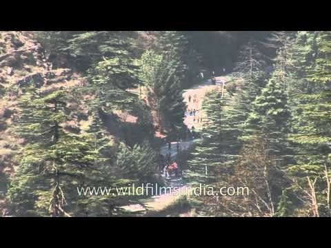 As the devotees take the walk downhill: Gangotri to Mukhba procession