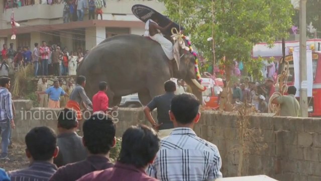 Angry elephant attacks crowd in India