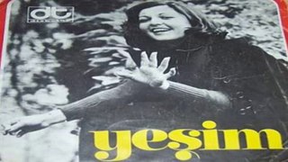 Yeşim ( Yılmaz ) Aklın Neredeydi 1975 (  İstanbul Gelişim Orkestrası )