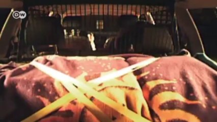 Examine it! Overload at Your Peril | Drive it!