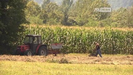 SICCITA' E CERVI, AGRICOLTORI IN DIFFICOLTA'