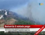 Bodrum'da Alevler Villalara Dayandı