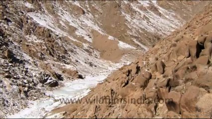 1599.Ladakh the land of Passes