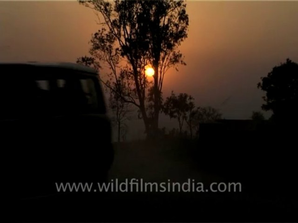 1030.Jeep Safari