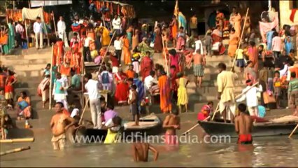 1036.Kartika Purnima along the Ganges, Sonepur, Bihar