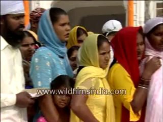 1038.Golden temple in India