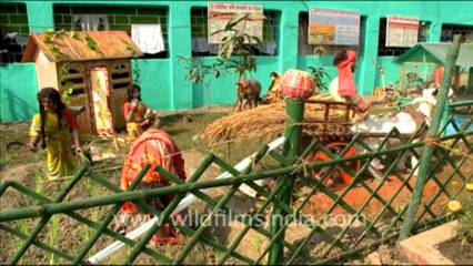 1047.Farming Practices in Sonepur Mela 2010