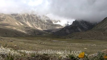1114.Time Lapse of Clouds, Sikkim