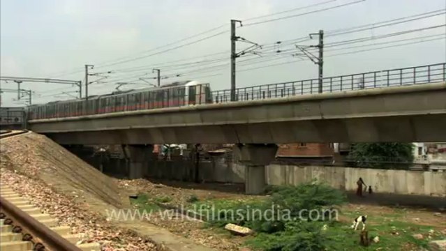 1126.Delhi Metro in action!