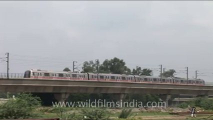 1127.Delhi Metro Trains, India
