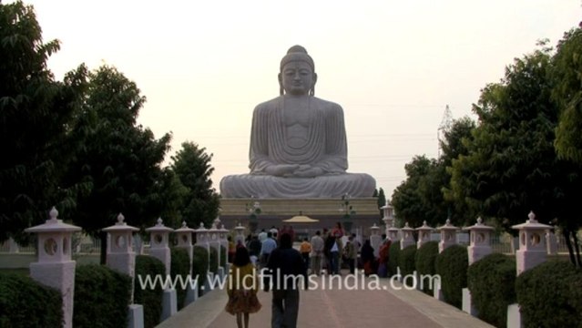 1142.The Great Buddha Statue, Bodhgaya