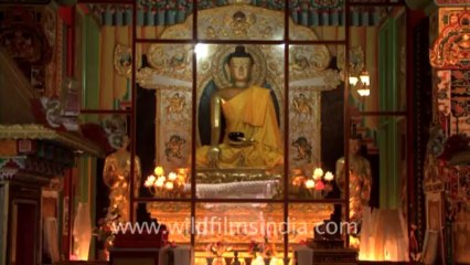1145.Tibetan Monastery in Bodhgaya