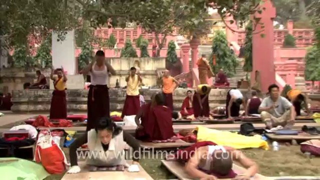 1153.Monks Praying in Mahabodhi Temple
