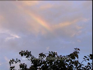 1184.Rainbow at wilderness films