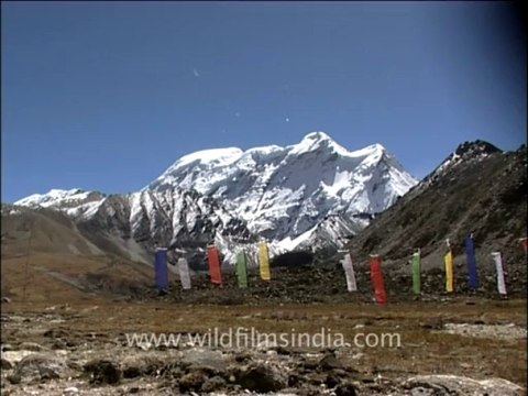 1195.Prayer flags on Sikkim's Gurudongmar Plateau