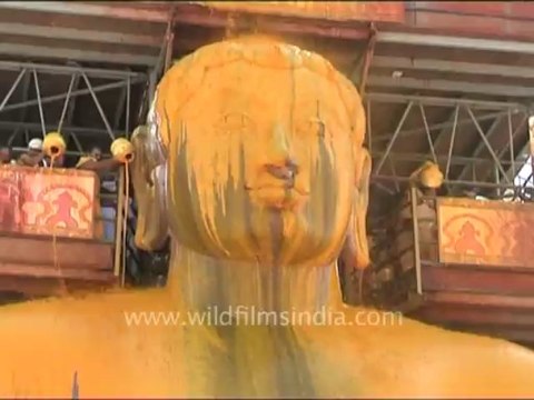 1198.Sheep being sheared in the Himalaya - funny!