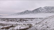 1245.Snow covered mountain range, Ladakh