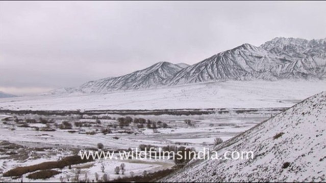 1245.Snow covered mountain range, Ladakh