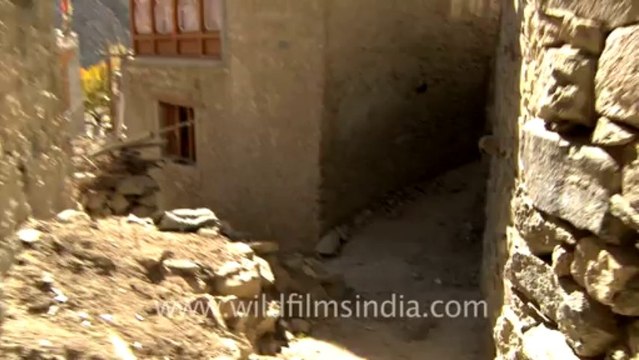 1247.Skating on Ice, Ladakh
