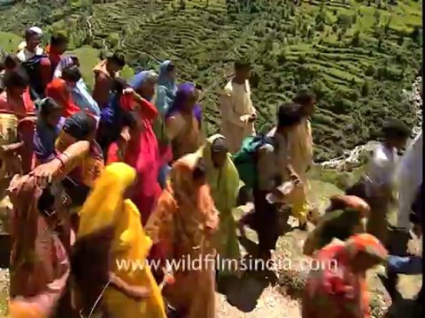 1341.Nanda Devi Yatra