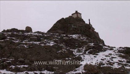 1407.Monastery and chorten, Ladakh