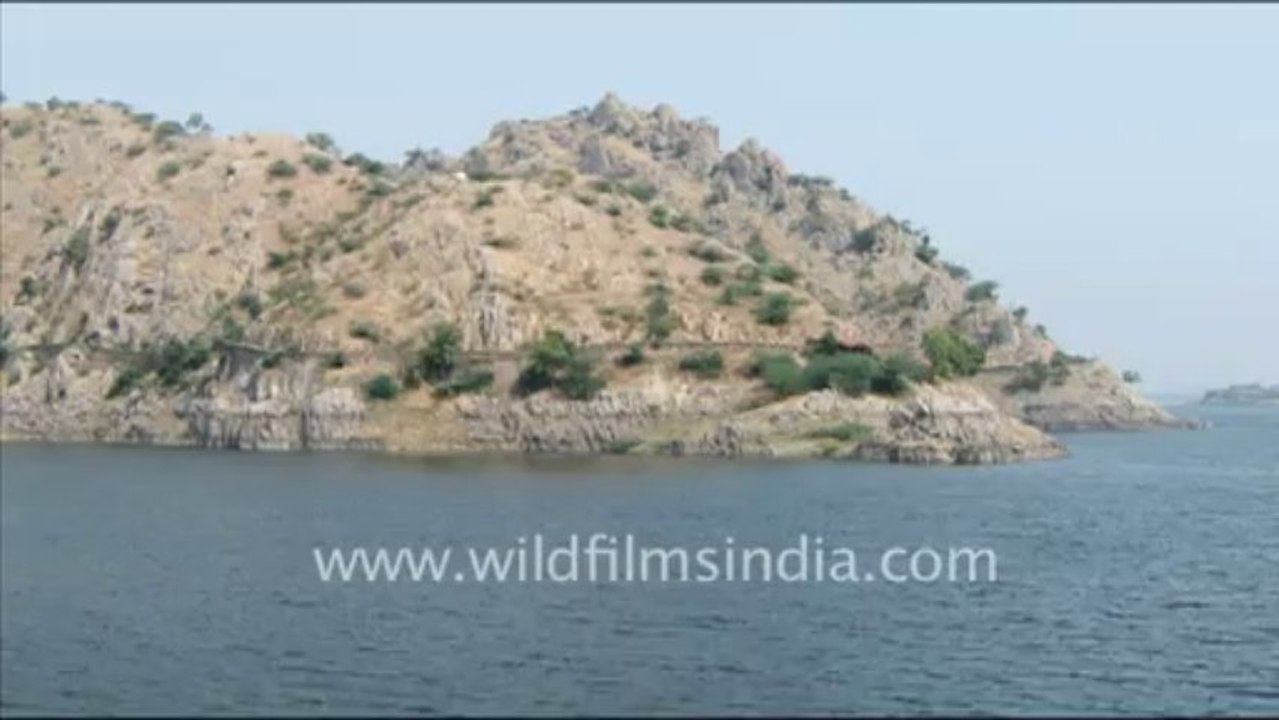 1429.Statue of Elephant at Jaisamand Lake, Udaipur