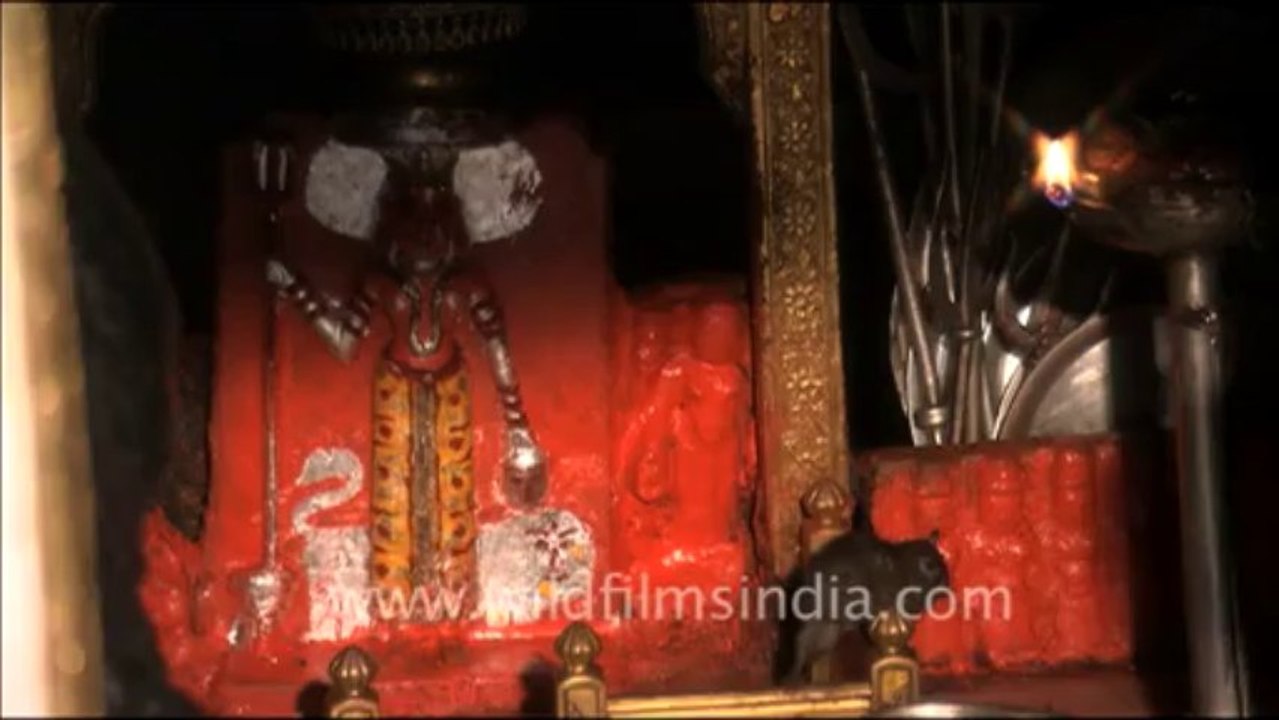 1508.Karni Temple, Rajasthan