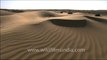 1538.Sam Sand dunes in Desert National Park, Jaisalmer, Rajasthan