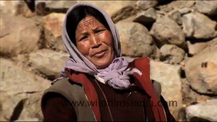 1575.Landscapes in Ladakhi Mountains