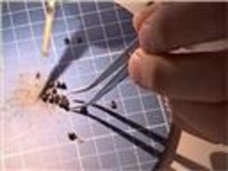 تطوير خصائص جينات المحاصيل الزراعية