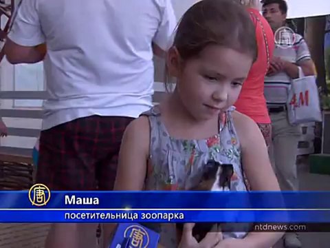 Зоопарк, в котором кормят и трогают зверей