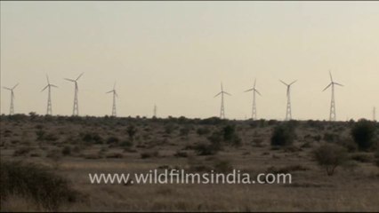 1644.Windmills in Rajasthan