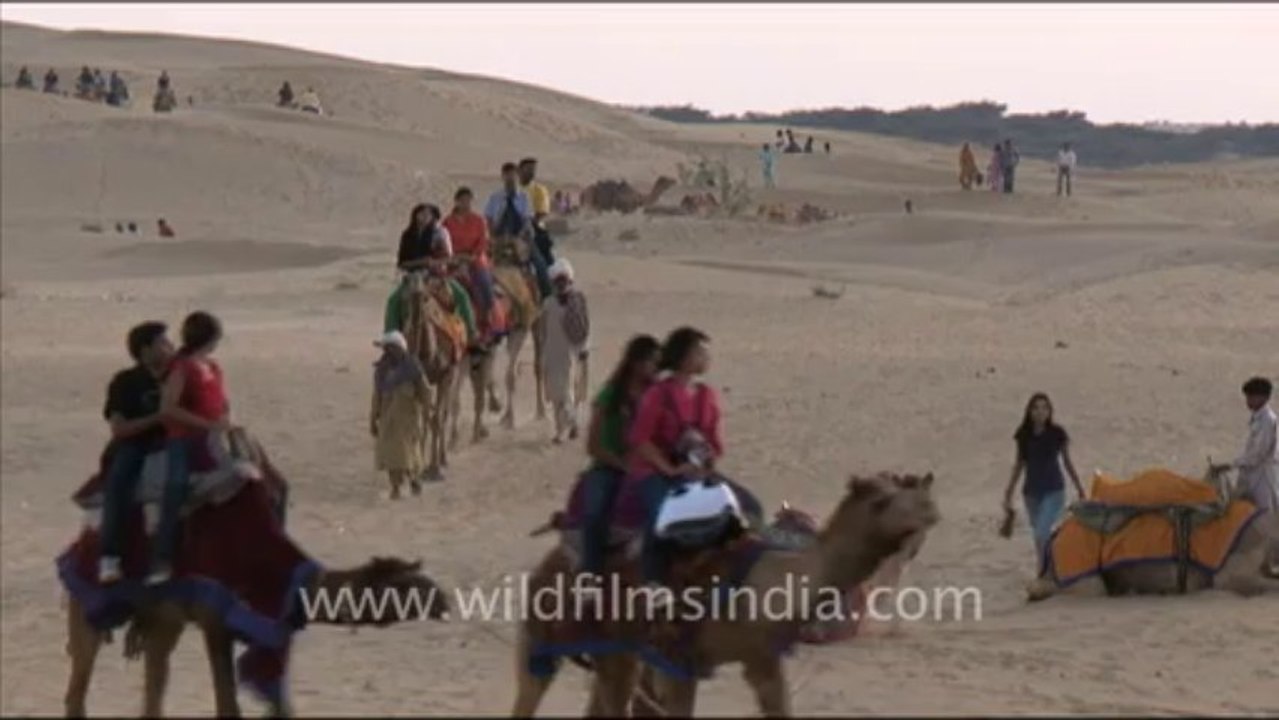 1652.Camel Ride, Rajasthan