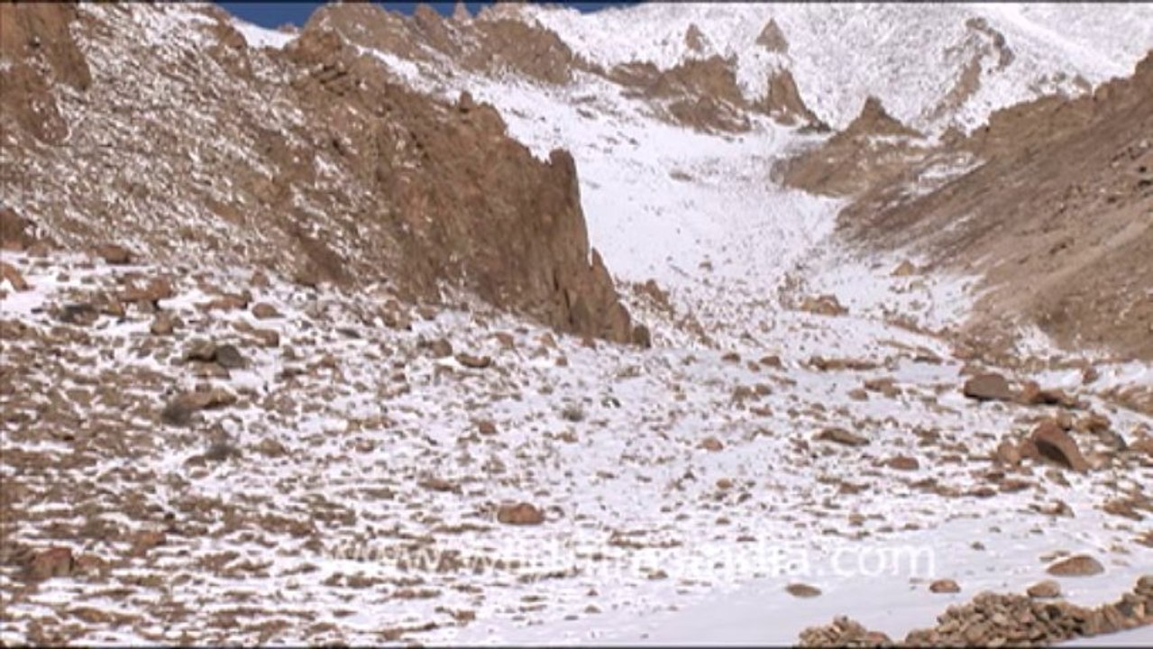 1658.Coldest Desert - Ladakh