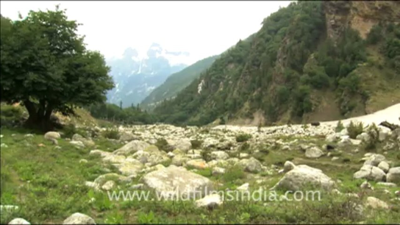 1788.Waterfall and high altitude valley in Garhwal