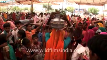 1828.Wedding rituals in Rajasthan