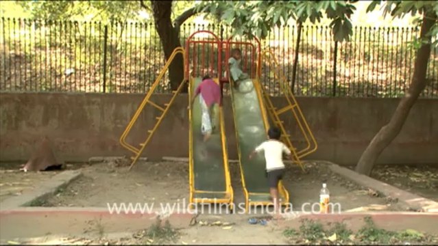 1859.Sanjay Park, Laxmi Bai Nagar, New Delhi