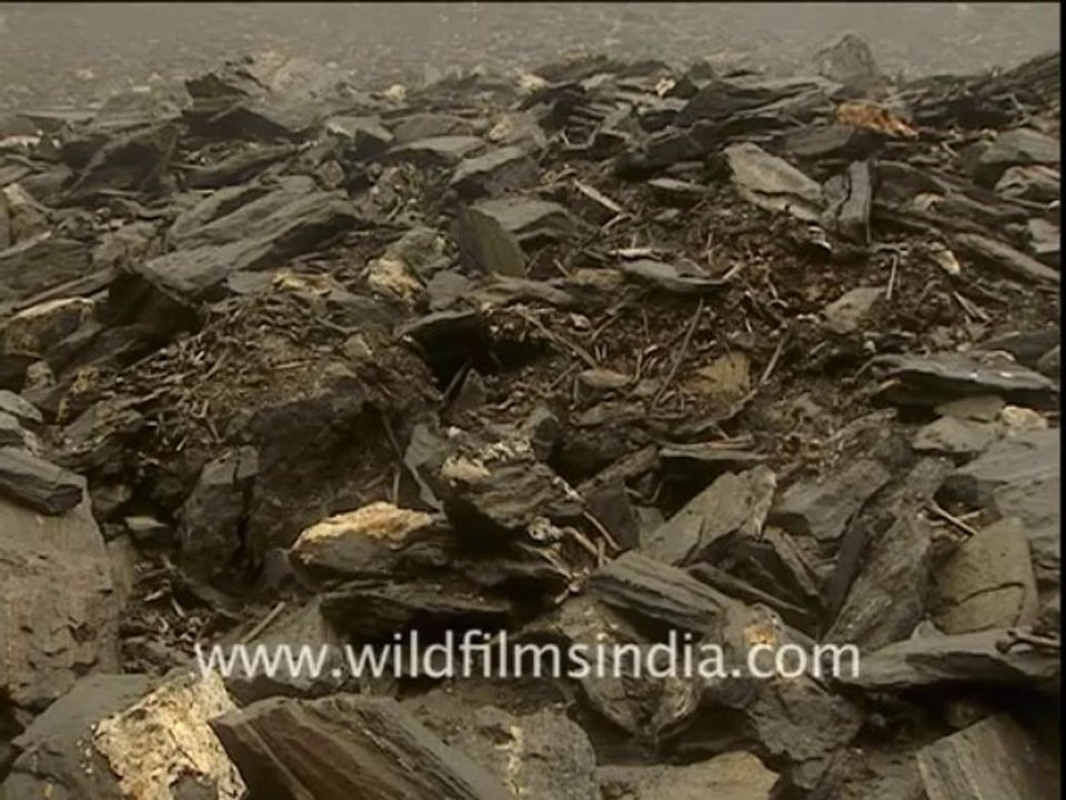 1868.Skulls and bones at Roopkund lake!