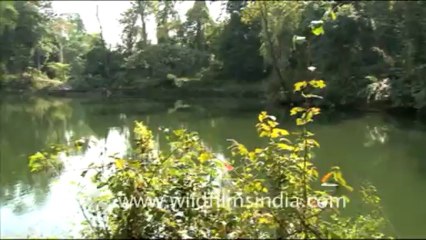 1937.Salley Lake in Arunachal Pradesh