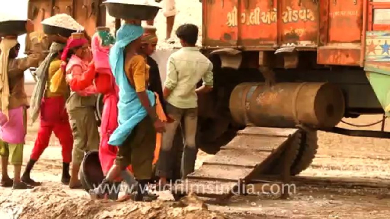 2012.workers loading salt into truck in Gujarat