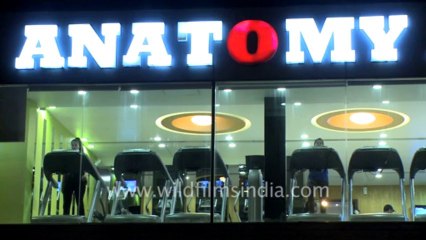 2073.Anatomy lifestyle Fitness gym in Yusuf sarai